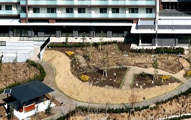 藤沢ウェルフェアタウン