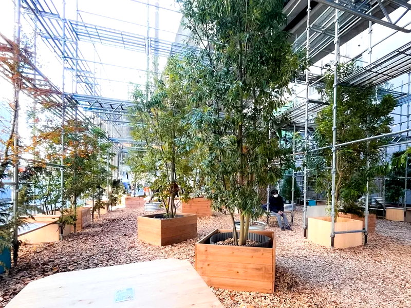 浜松「POP UP FOREST」