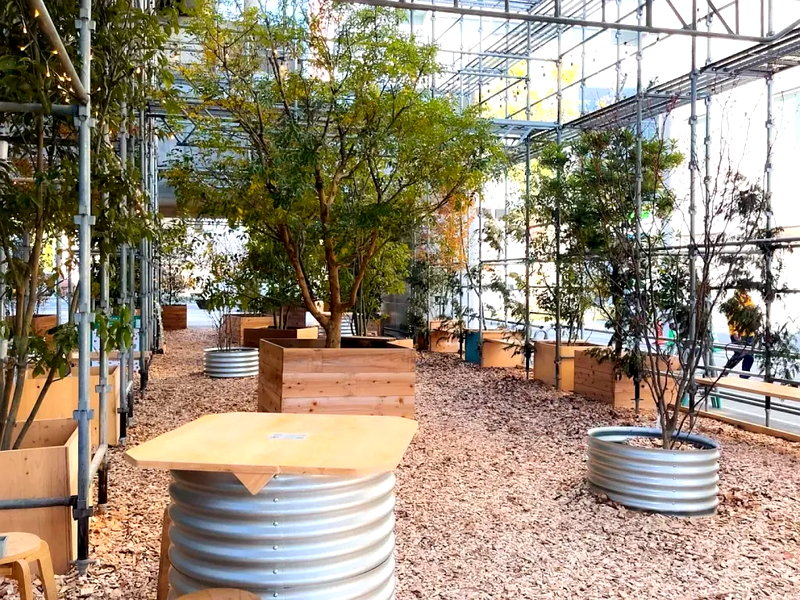 浜松「POP UP FOREST」
