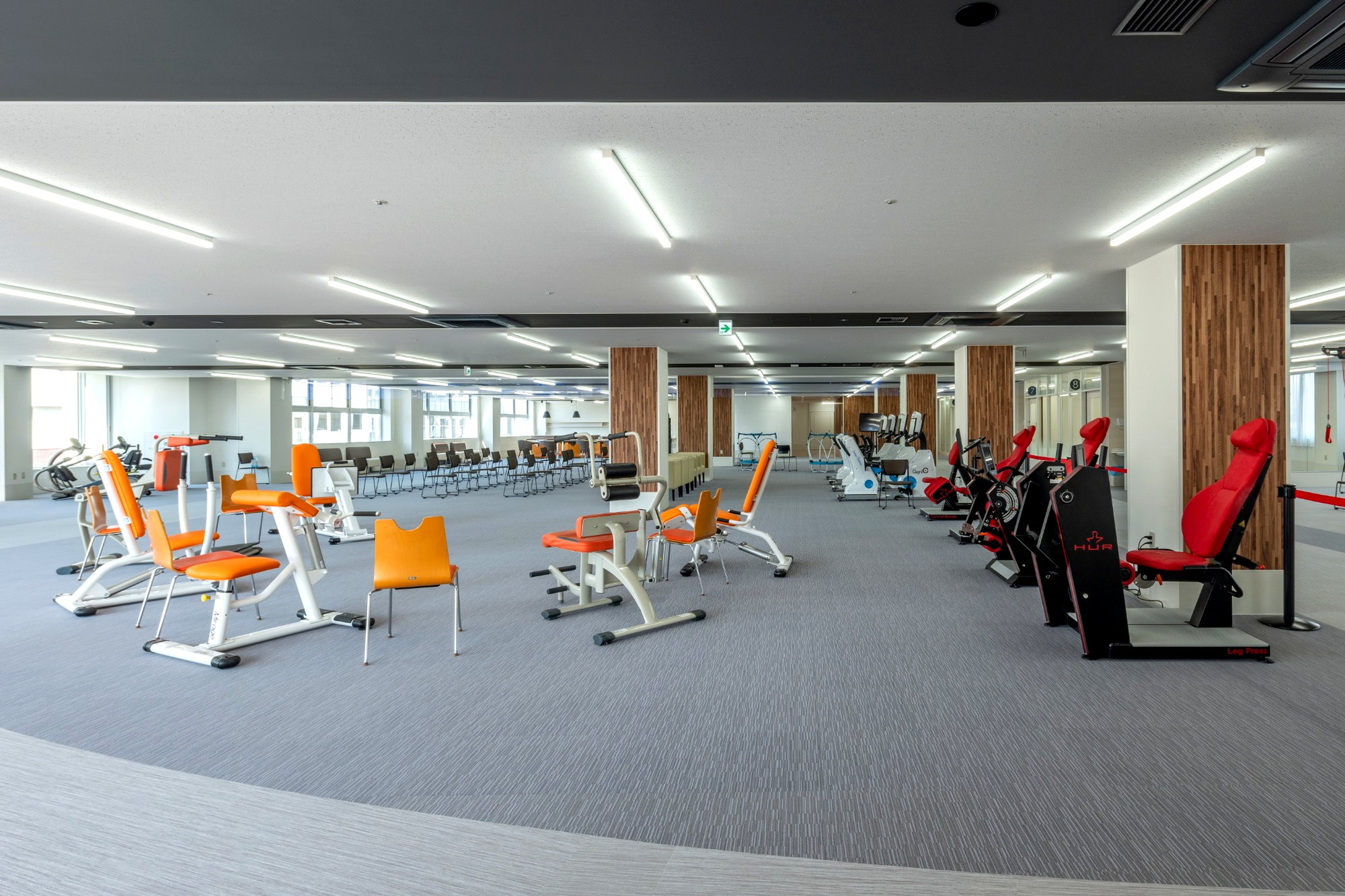 リハビリテーション