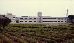 小笠病院　昭和52年